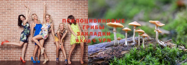 гашик Наволоки
