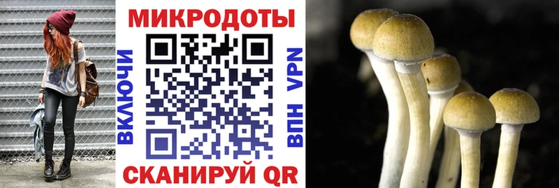 Псилоцибиновые грибы мухоморы Пенза