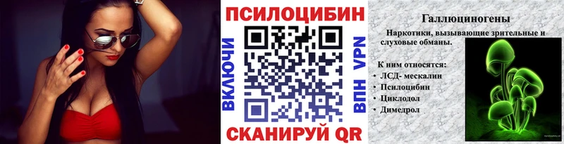 купить сайты Пенза Псилоцибиновые грибы Psilocybe