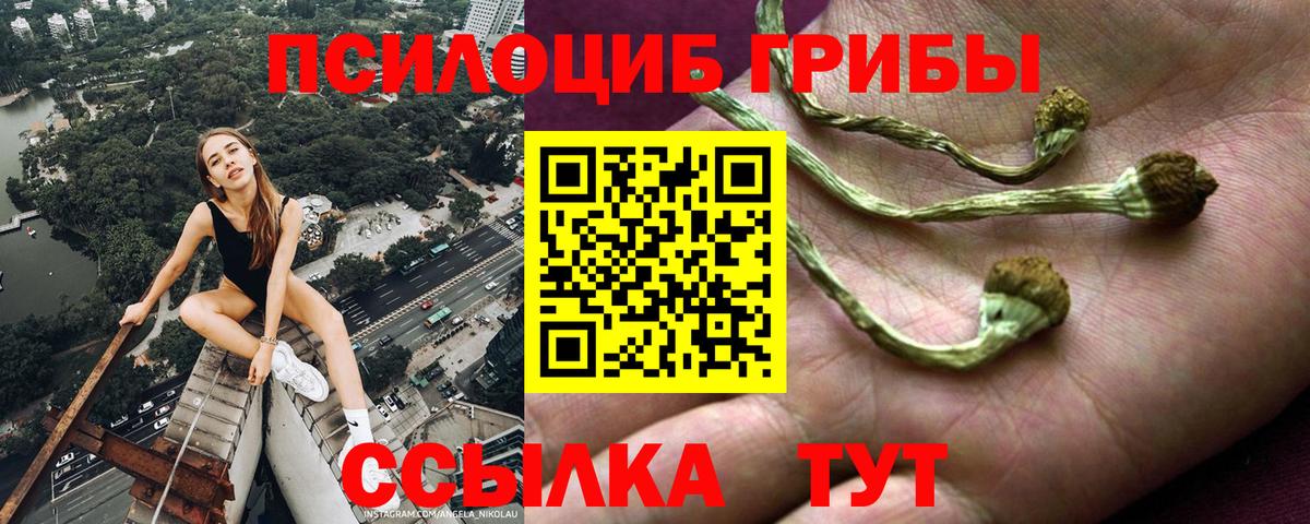 Галлюциногенные грибы GOLDEN TEACHER  Пенза 