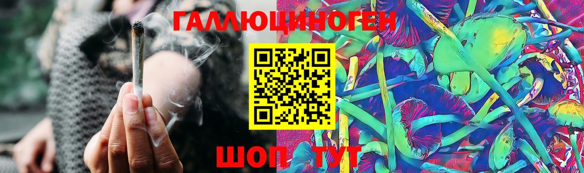 Пенза  Псилоцибиновые грибы MAGIC MUSHROOMS  хочу   Вход с VPN  Псилоцибиновые грибы Psilocybine cubensis 